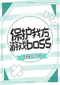 保护我方游戏boss[全息]