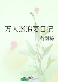 万人迷追妻日记